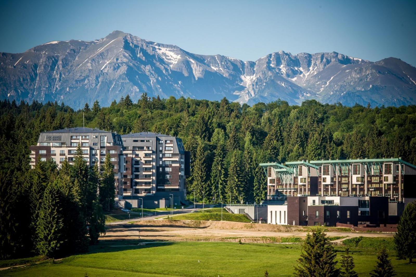 Art Gallery Apartment In Silver Mountain Poiana Brasov Εξωτερικό φωτογραφία